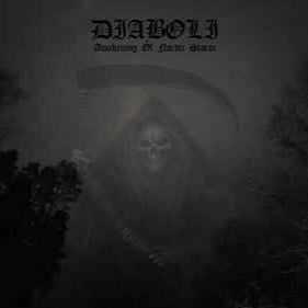 DIABOLI - Awakening Of Nordic Storm (12")